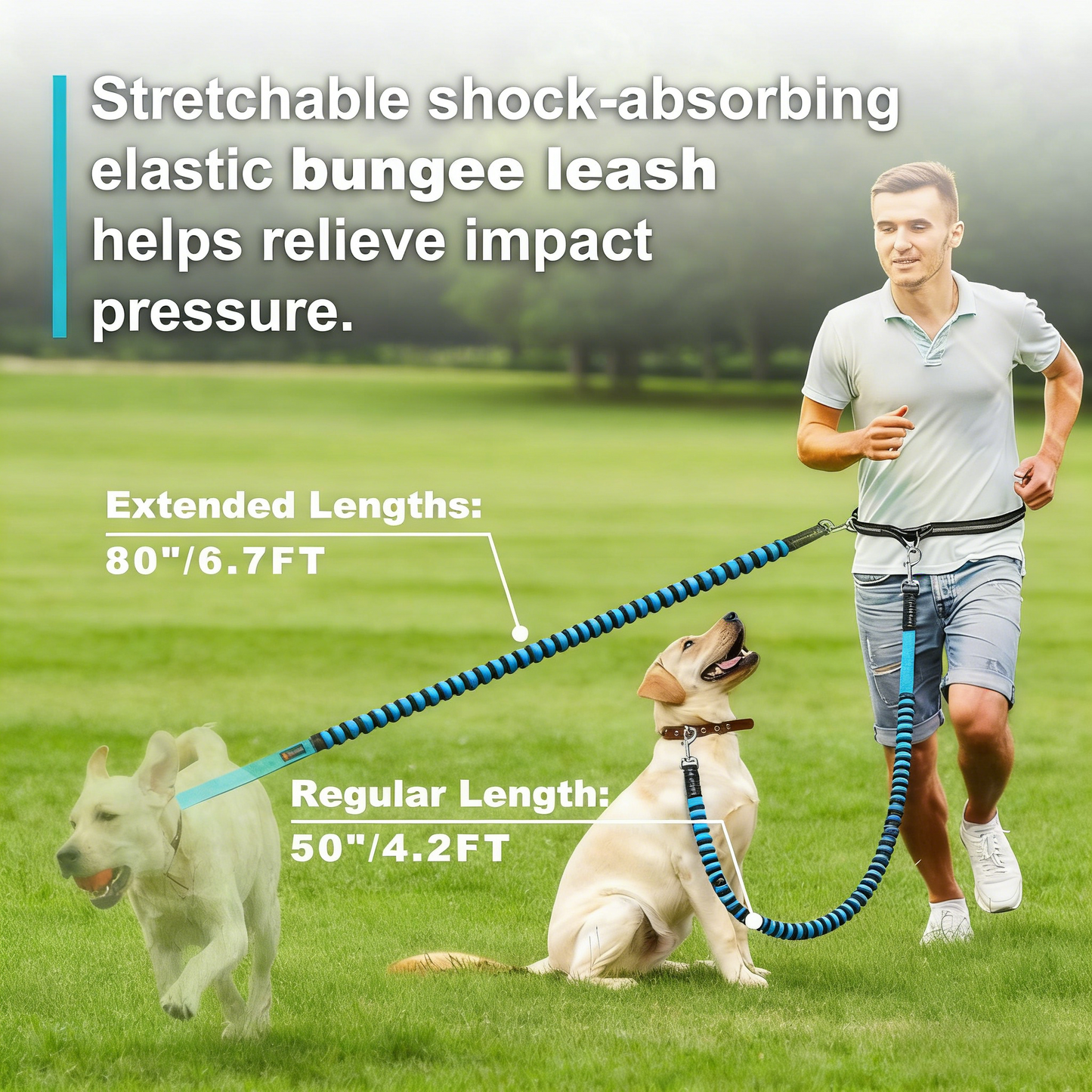 Hands-Free Dog Leash, Adjustable Waist & Bungee Handle