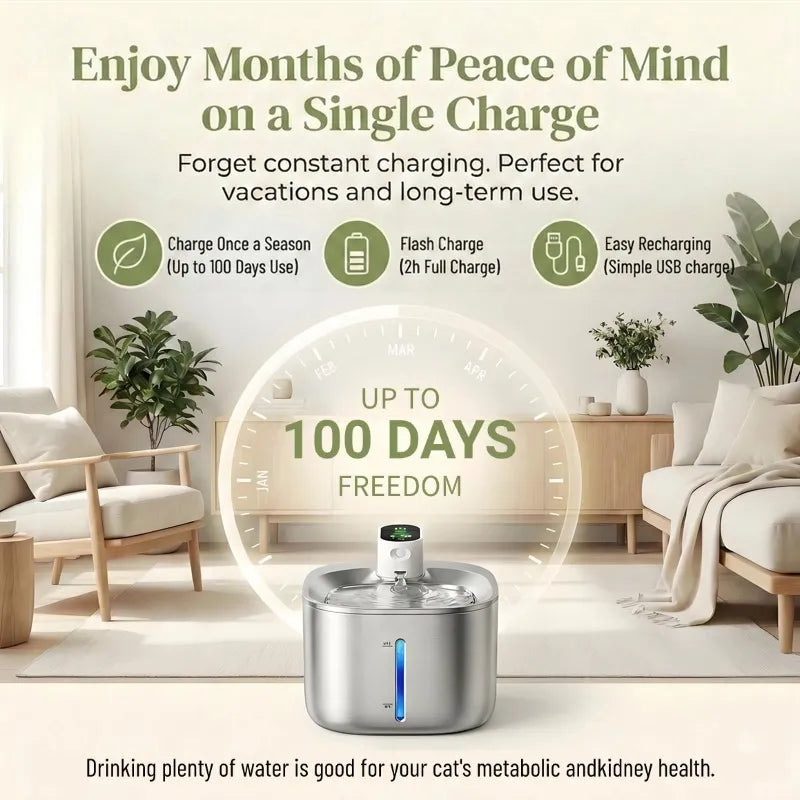 No Cords, No Worries – Enjoy Fresh Water at the Perfect Temperature