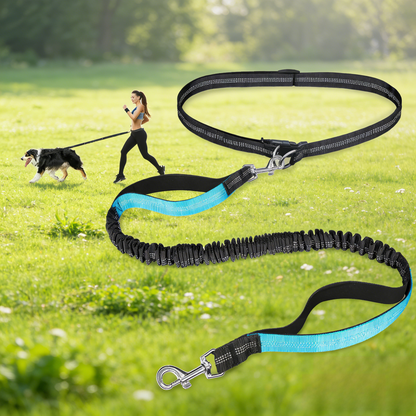 Hands-Free Dog Leash, Adjustable Waist & Bungee Handle